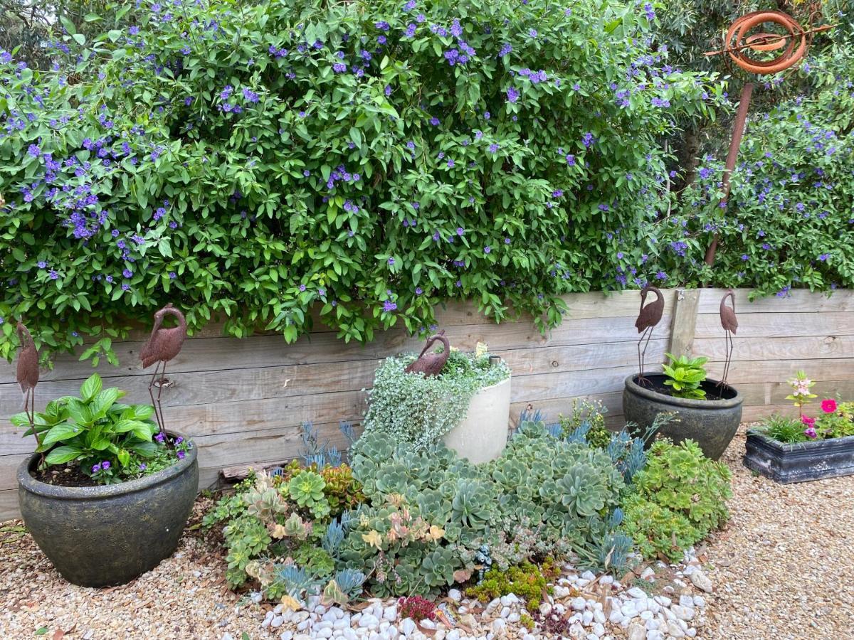 Cozy Cottage Victor Harbor Hindmarsh Valley Exterior foto